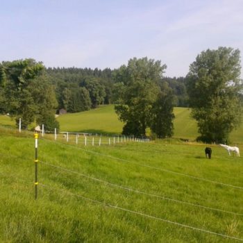 Nikolaushof im Kammeltal